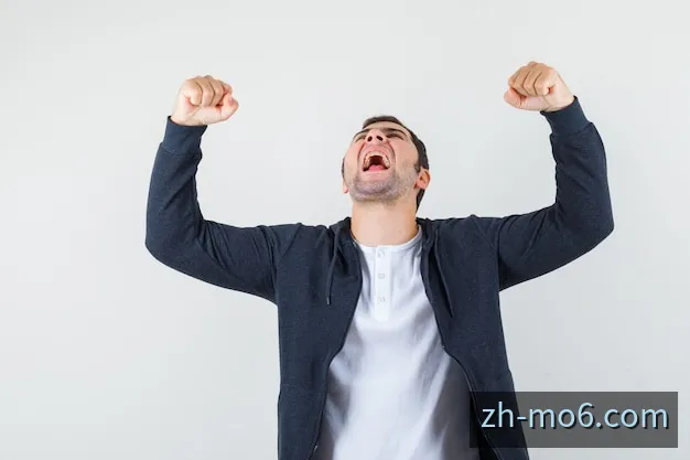澳门六合彩走势分析研判系统与数据统计图表